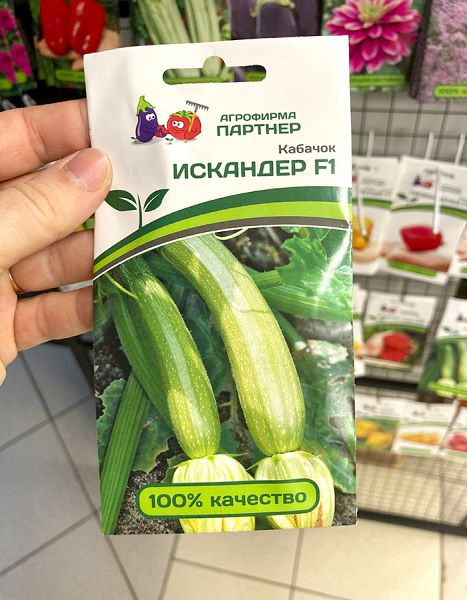 Кабачок Искандер F1